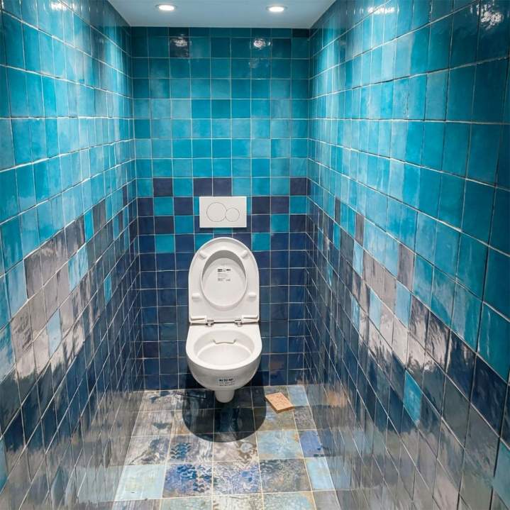 Carrelage toilettes Lyon